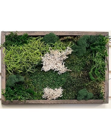 Standard size, 6 inches height and 11 inches wide.