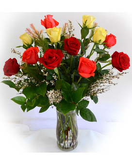 12 Assorted Long Roses Vased