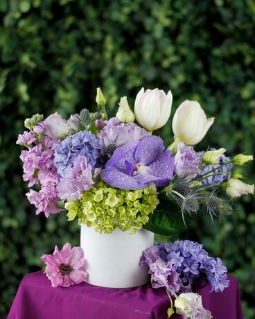 Standard size, 8 inches height and 8 inches wide.