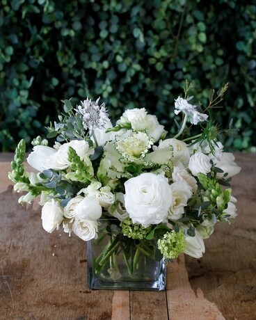 Deluxe size, 11 inches height and 8 inches wide.