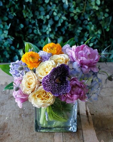 Standard size, 8 inches height and 8 inches wide.