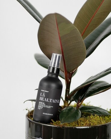 Plant + Room Spray size, inches height and inches wide.