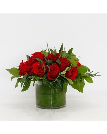 Deluxe size, 11 inches height and 11 inches wide.
