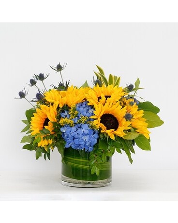 Deluxe size, 11 inches height and 11 inches wide.