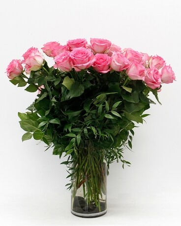 Soft Pink - 3 Dozen size, inches height and inches wide.