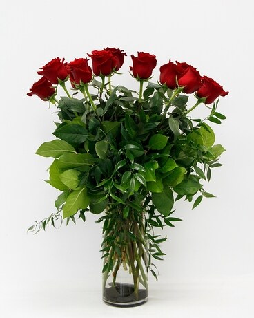 Classic Red - 1 Dozen size, inches height and inches wide.