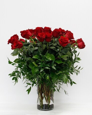 Classic Red - 3 Dozen size, inches height and inches wide.