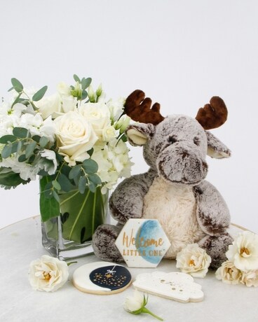 Upgrade: Snuggly Moose Plush size, inches height and inches wide.