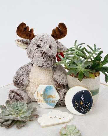 Upgrade: Snuggly Moose Plush size, inches height and inches wide.