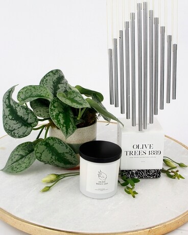 Upgrade: Pothos, Windchime & Candle size, inches height and inches wide.