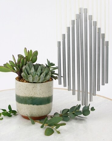 Succulent + Windchime size, inches height and inches wide.
