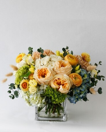 Deluxe size, 9 inches height and 10 inches wide.