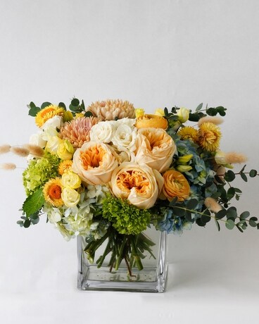Premium size, 11 inches height and 11 inches wide.