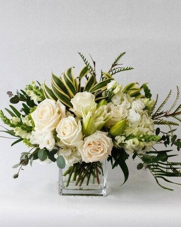Deluxe size, 10 inches height and 11.5 inches wide.