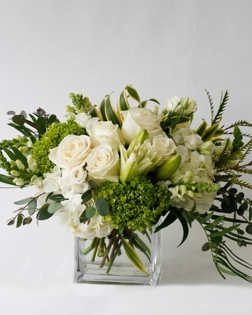 Premium size, 11 inches height and 12.5 inches wide.