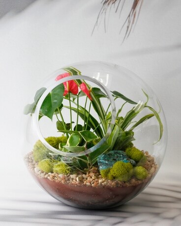 Deluxe (with Shattuckite Stone) size, 14 inches height and 14 inches wide.