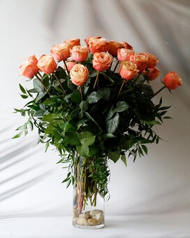 CALIFORNIA PEACH - 2 DOZEN size, inches height and inches wide.