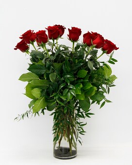 RED - 1 Dozen size, inches height and inches wide.