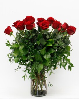 RED - 2 Dozen size, inches height and inches wide.