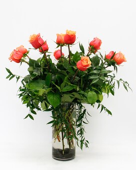CHERRY BRANDY - 1 Dozen size, inches height and inches wide.