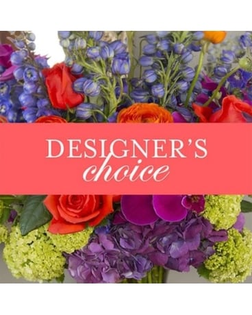 Take their breath away! size, inches height and inches wide.
