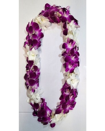 Purple & White size, inches height and inches wide.