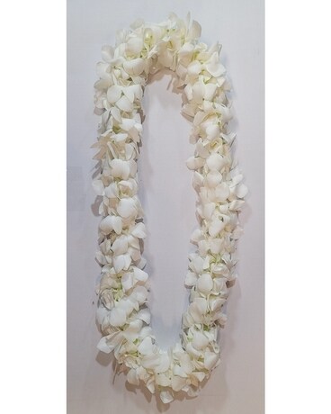 *SOLD OUT* White size, inches height and inches wide.