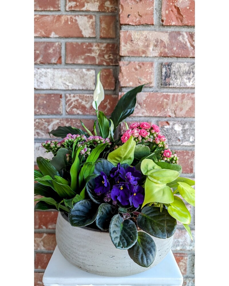 Homepage Rotation Delivery Renton WA - Cugini Florists & Fine Gifts