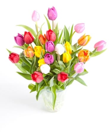 Deluxe - 25 size, inches height and inches wide.