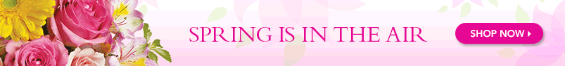 spring in the air banner