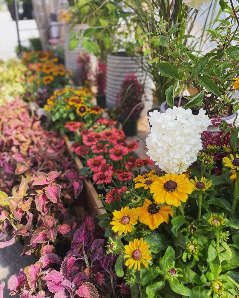Whistler Garden Centre