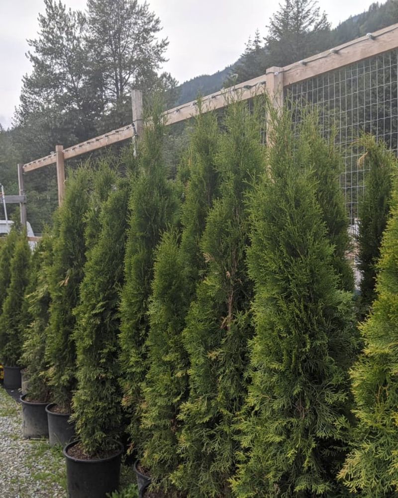 Whistler Garden Centre
