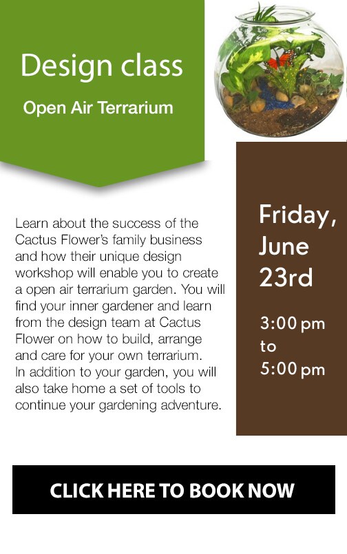 Open Air Terrarium 06-23-23 Final