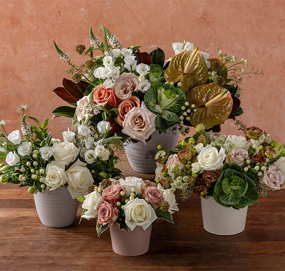 A styled assortment of cookies, crackers, popcorn, and candy with touches of autumn greenery.