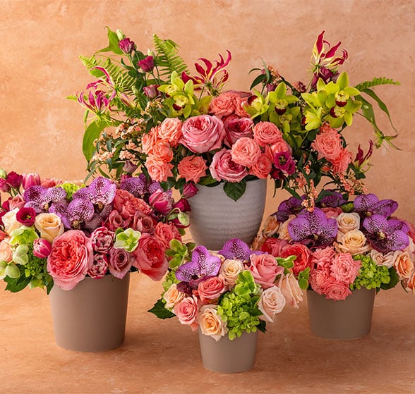 A styled assortment of cookies, crackers, popcorn, and candy with touches of autumn greenery.