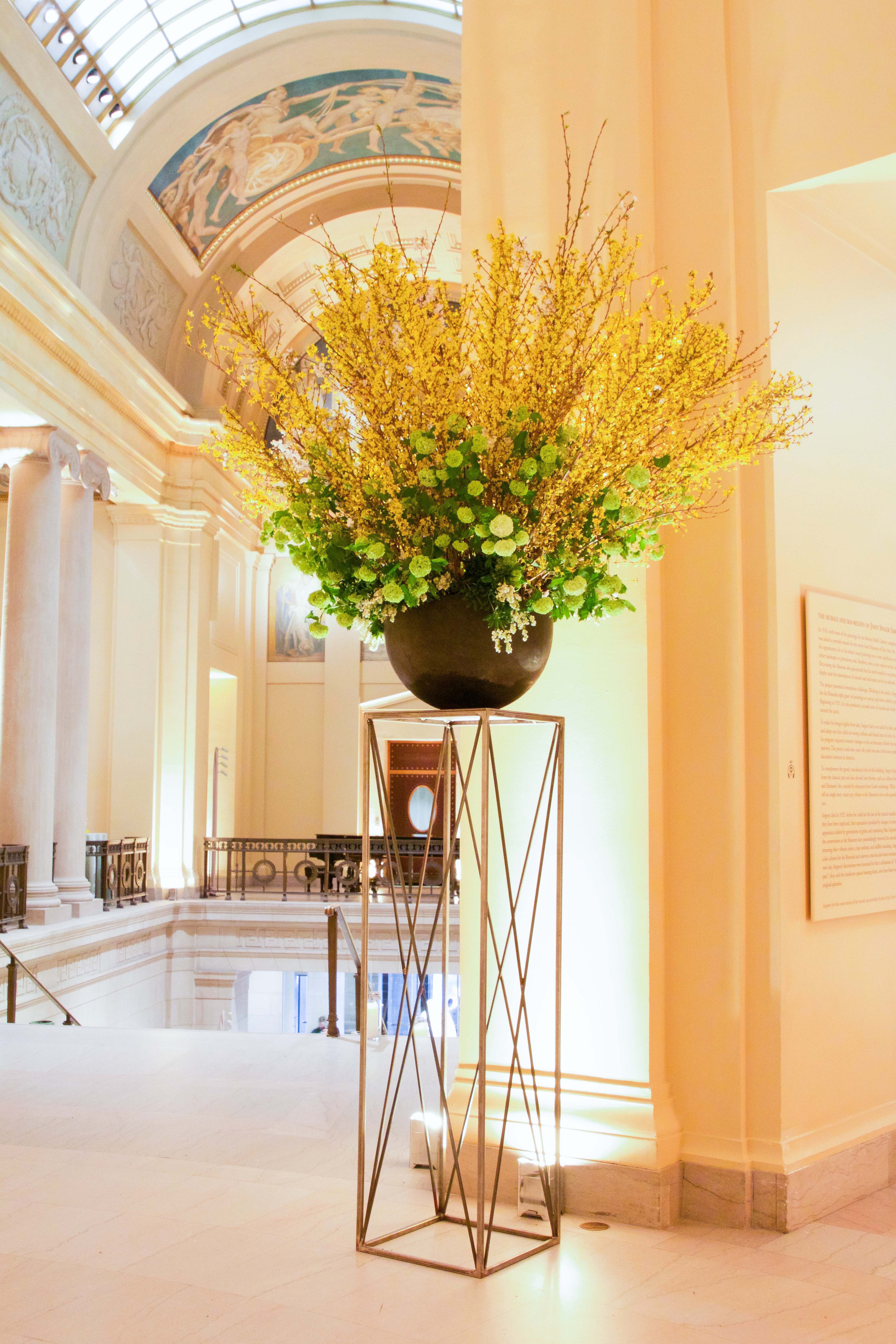 Museum-Fine-Arts
