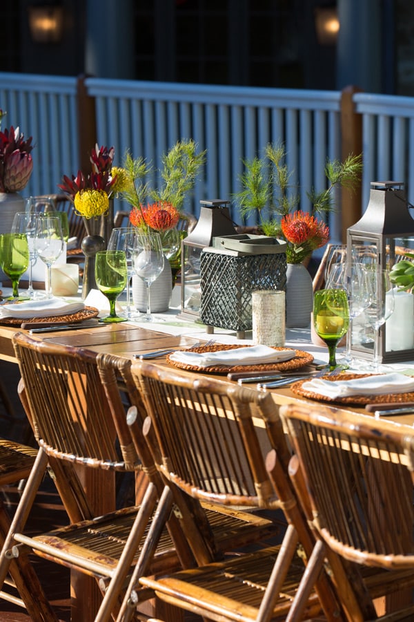 Safari Themed Rehearsal Dinner