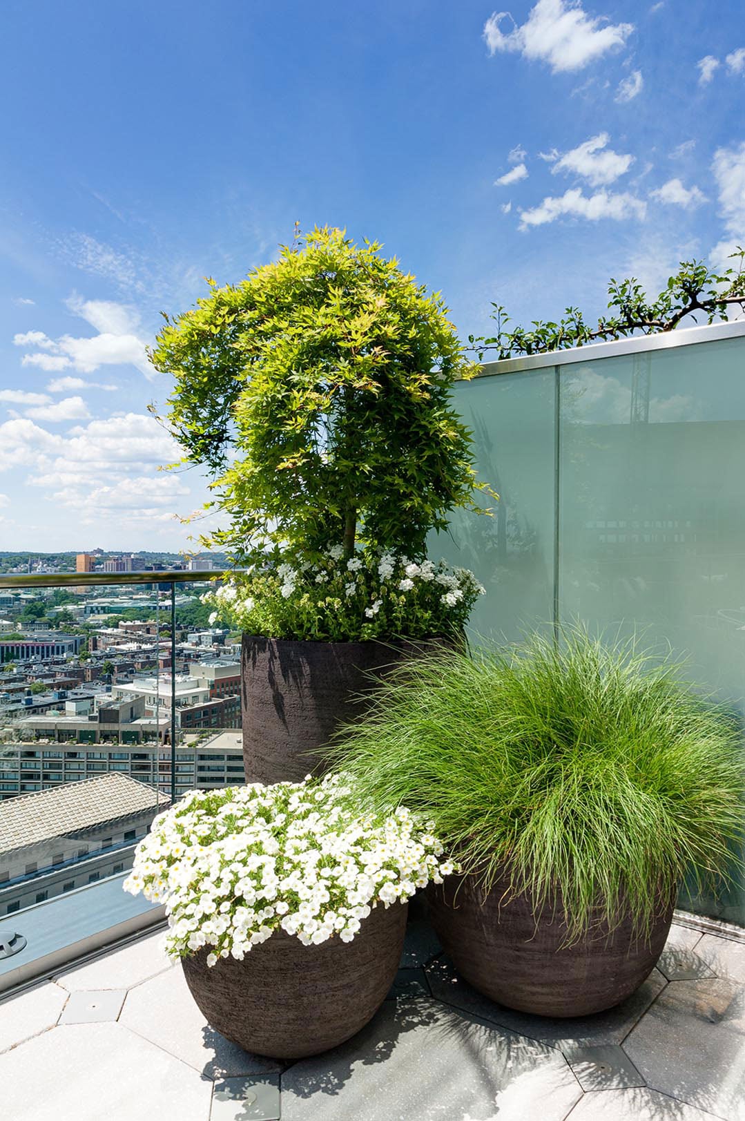 Chic-City-Terrace