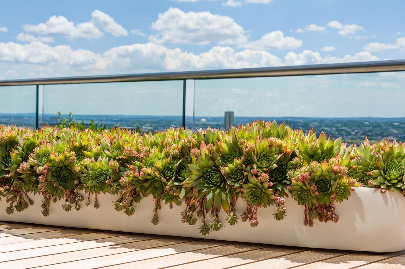Chic-City-Terrace