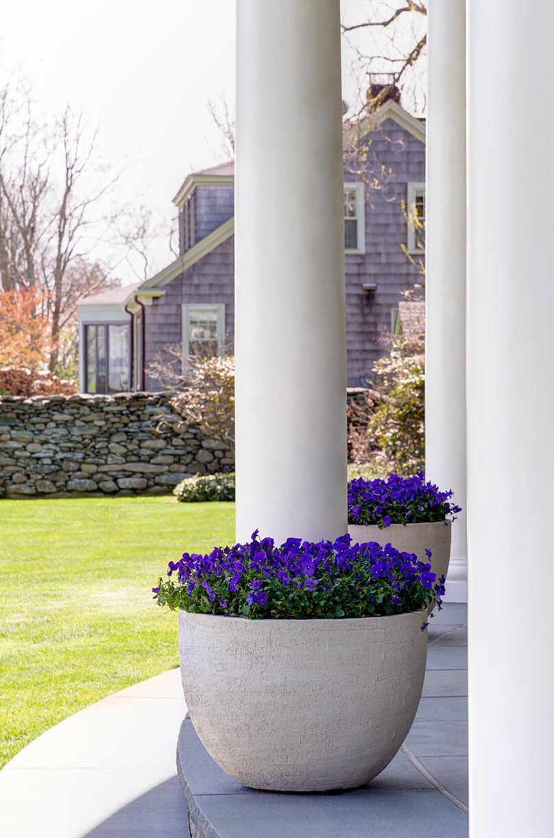 Early-Spring-in-Suburbs