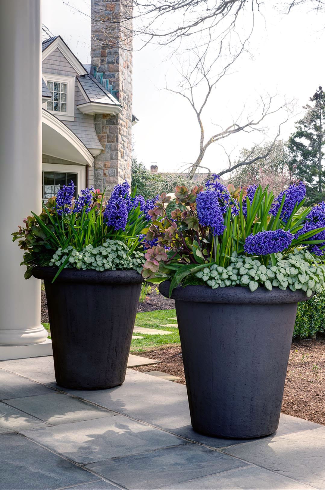 Early-Spring-in-Suburbs