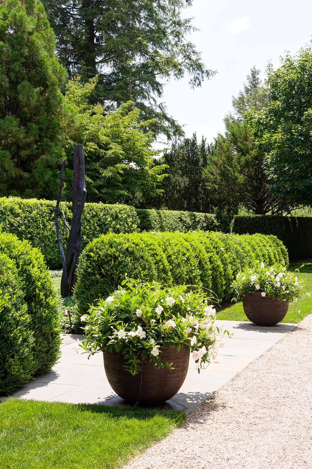 Wellesley-Poolside-Property