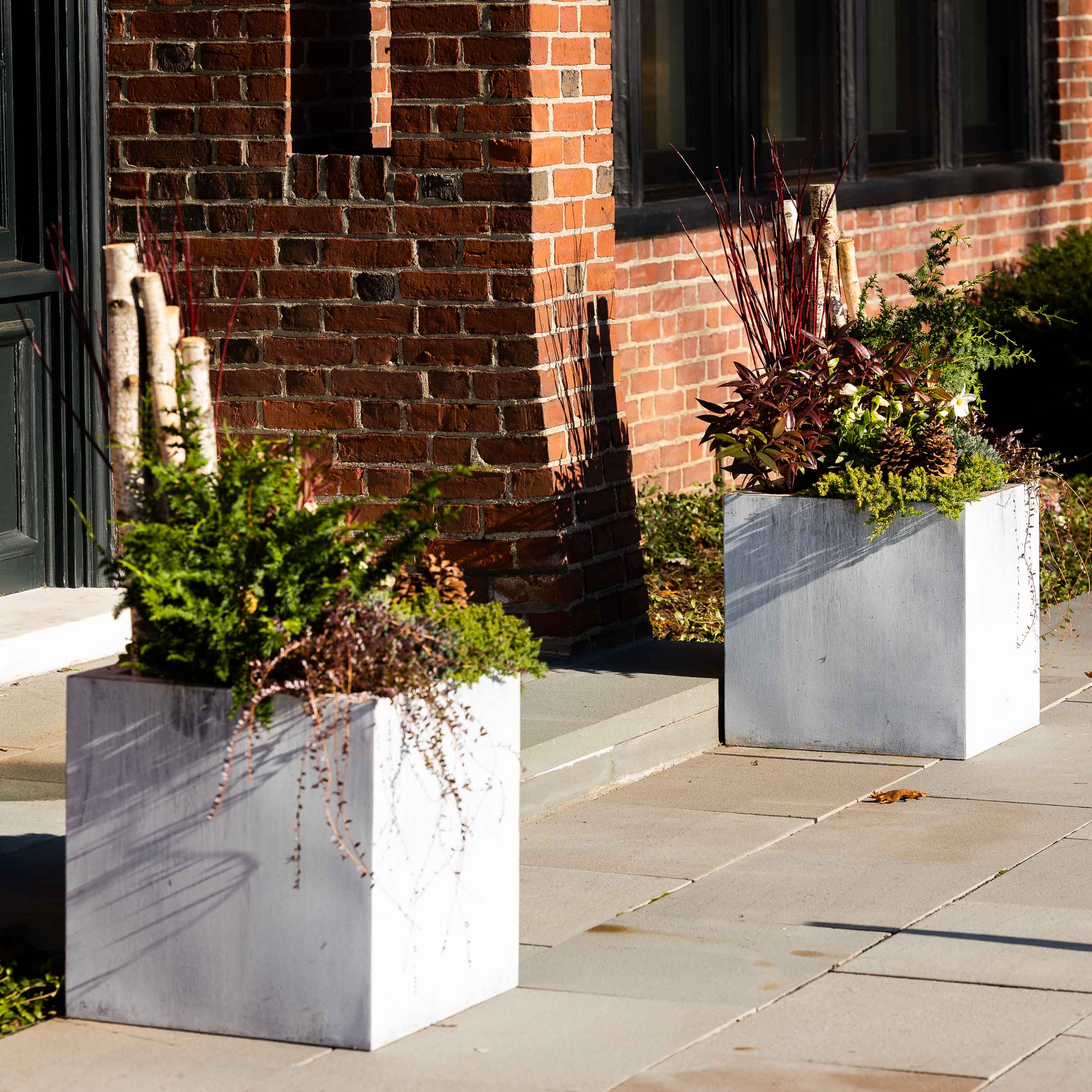 Winter Container Plantings
