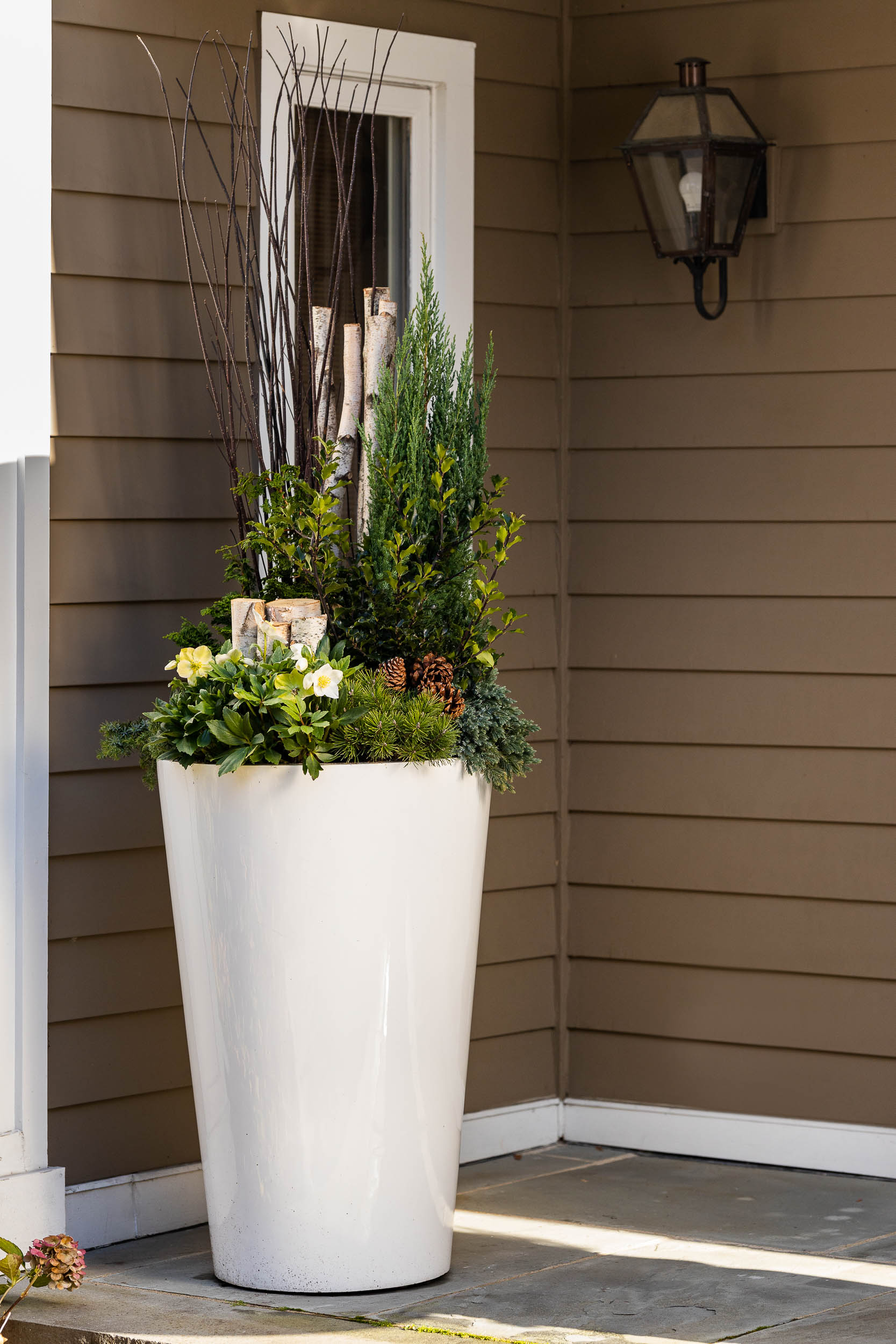 Winter Container Plantings