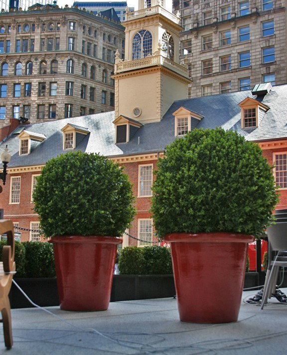 Exterior Décor