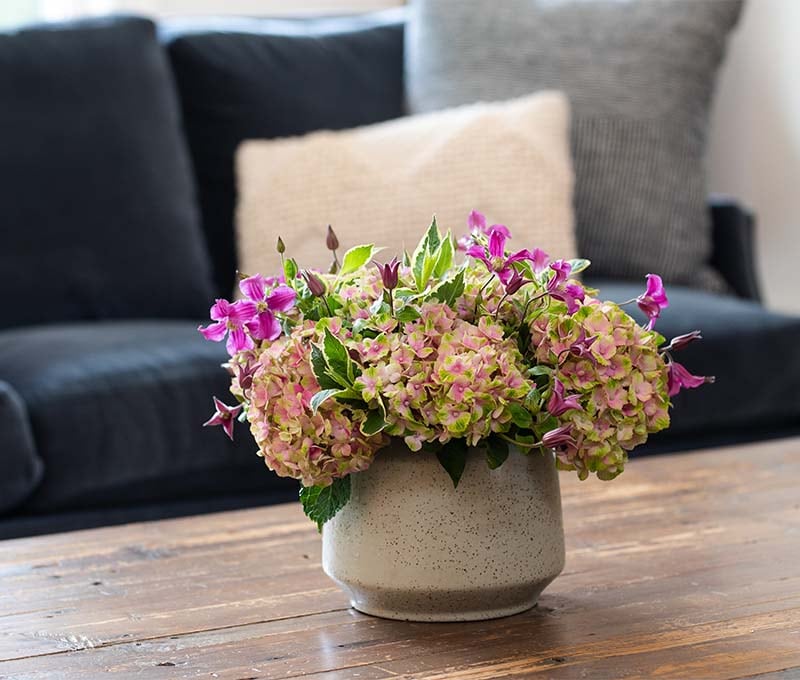 pink and purple flowers