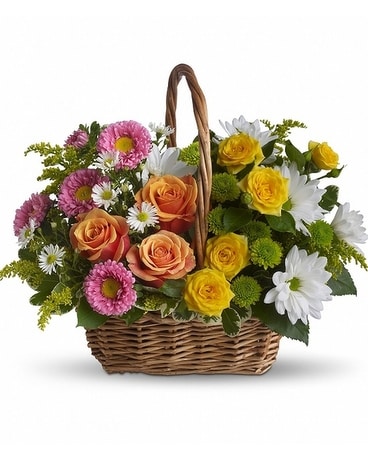 Sweet Tranquility Basket in Schenectady NY - Frank Gallo & Son Florist