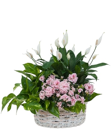 リリパットレーン310☆THE FLOWER BASKET リリパットレーン THE FLOWER BASKET Lilliput Lane - The