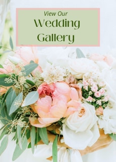 Wedding Gallery