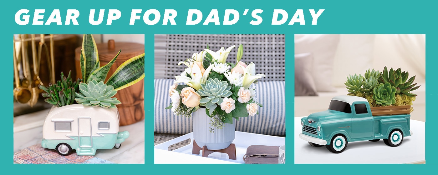 Send beautiful Father's Day Flowers - Father's Day Flowers Delivery